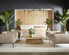 Sunpan Burr Armchair Clearance