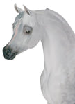 Lladro Arabian Pure Breed Horse Figurine Limited Edition