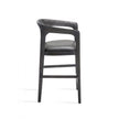 Interlude Kendra Counter Stool