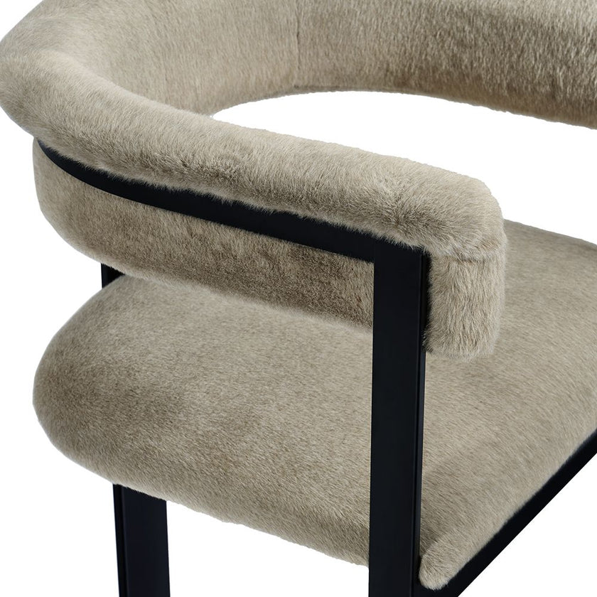 Interlude Darcy Dining Chair in Black