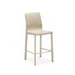 Interlude Jada Counter Stool