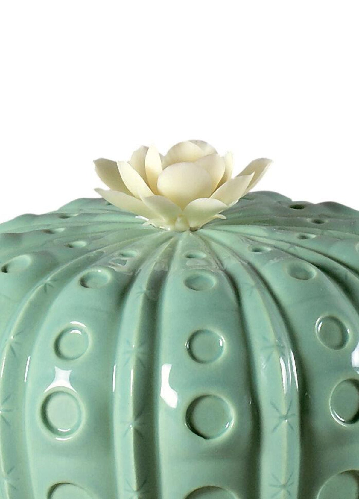 Lladro Astrophytum Cactus Diffuser