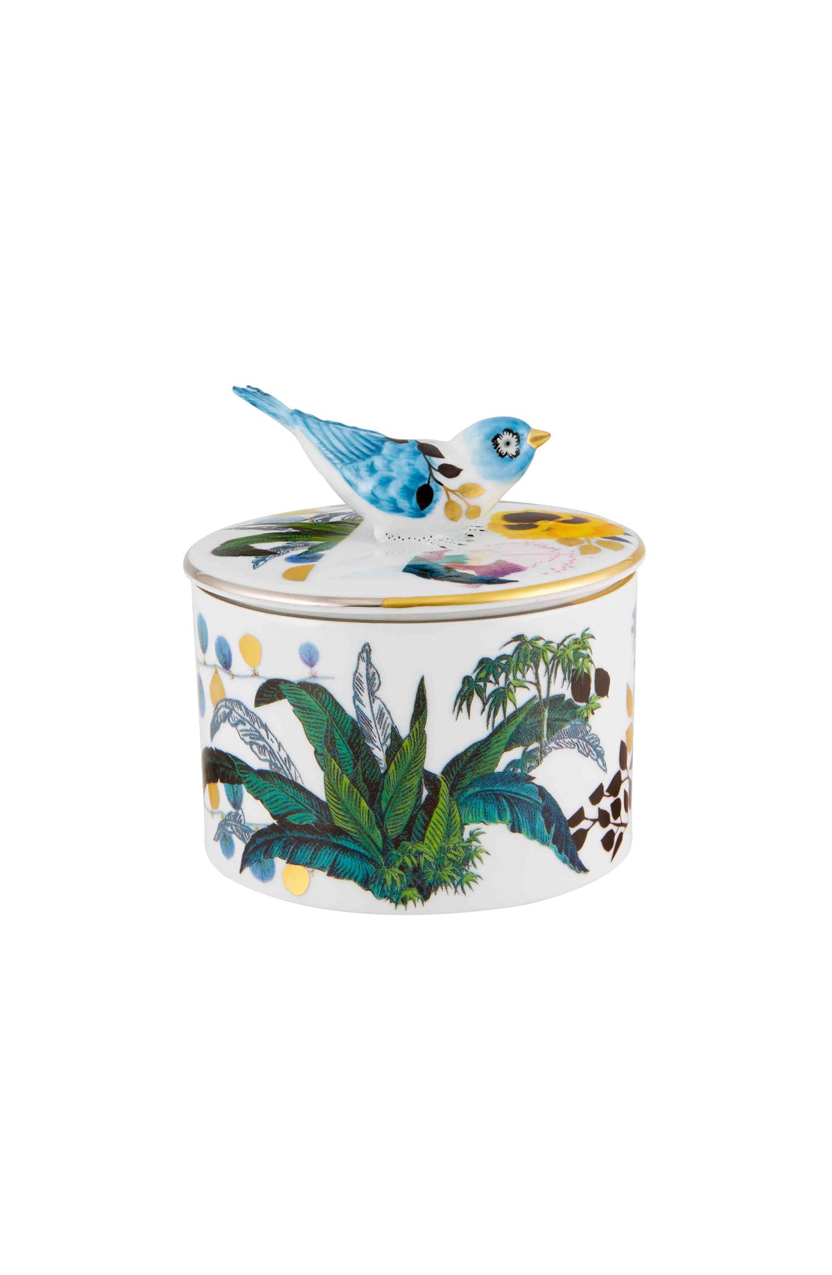 Vista Alegre Christian Lacroix - Primavera Box Carrica By Christian Lacroix