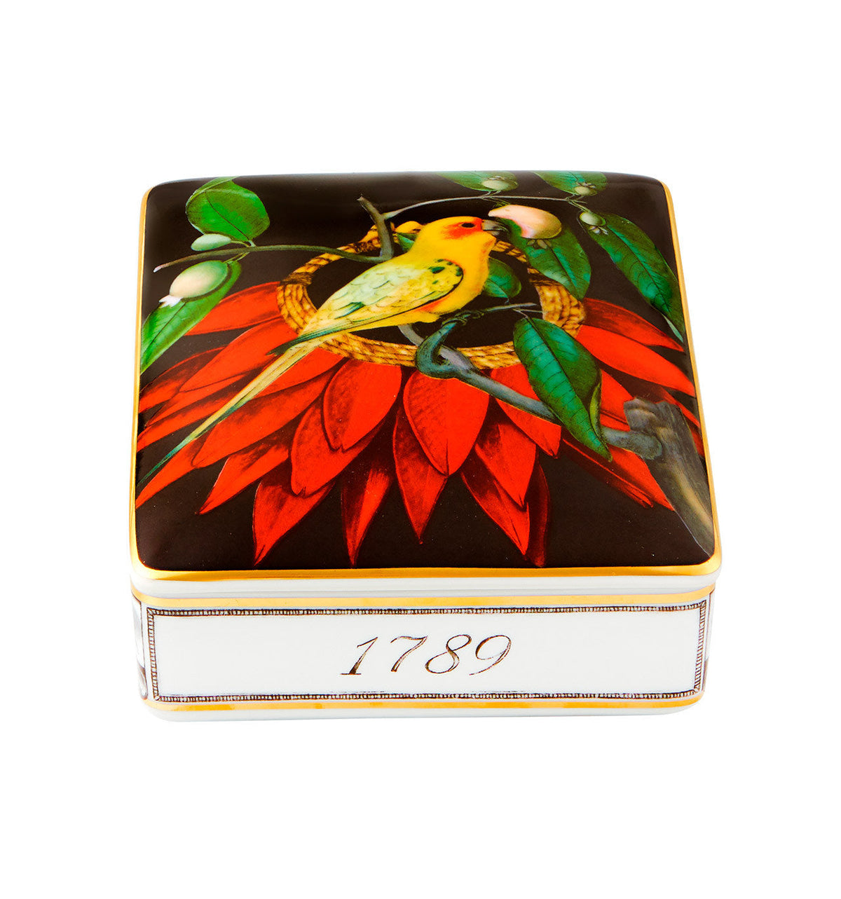 Vista Alegre Amazonia Card Box