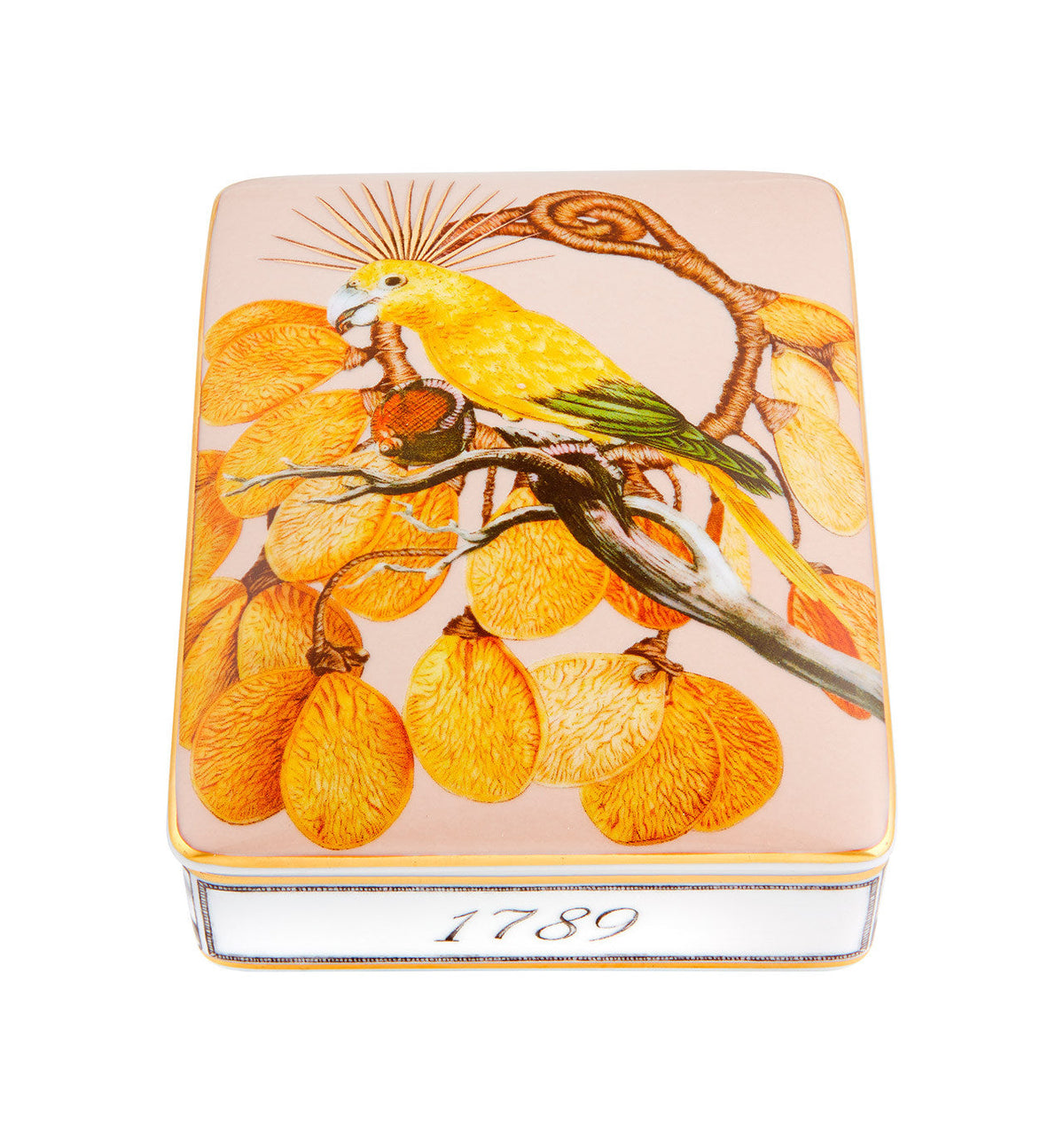 Vista Alegre Amazonia Card Box