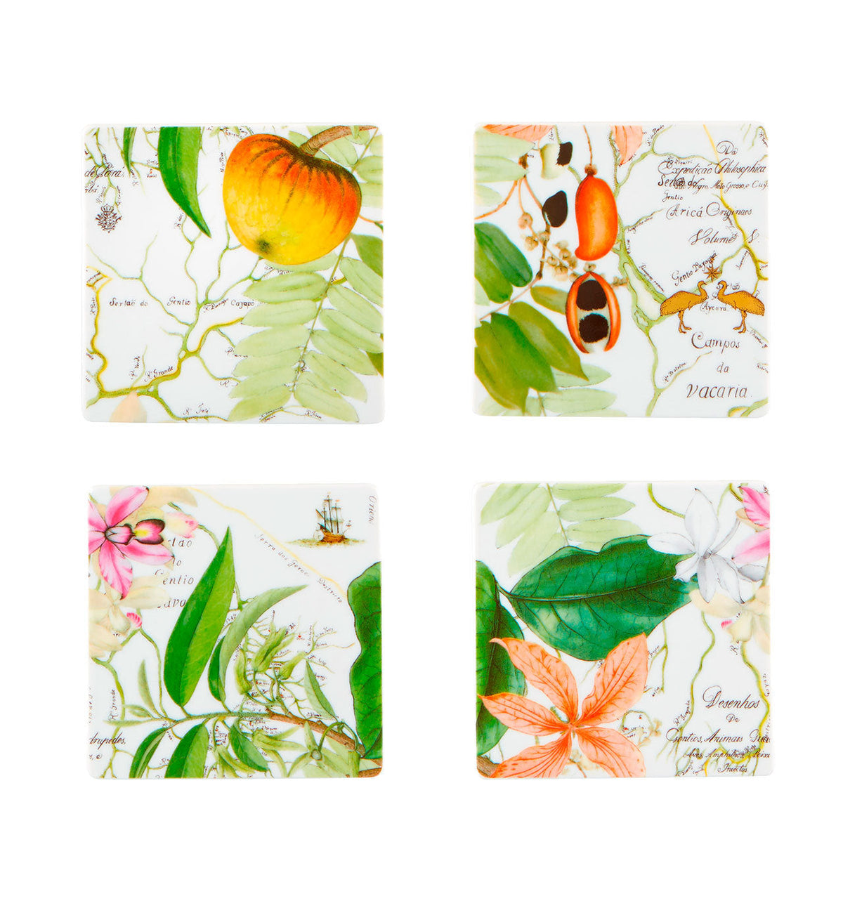 Vista Alegre Amazonia Coasters - Set of 4