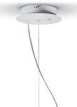 Lladro Belle De Nuit Ceiling Lamp (US)