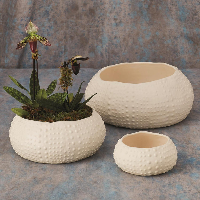 Global Views Ceramic Urchin Bowl