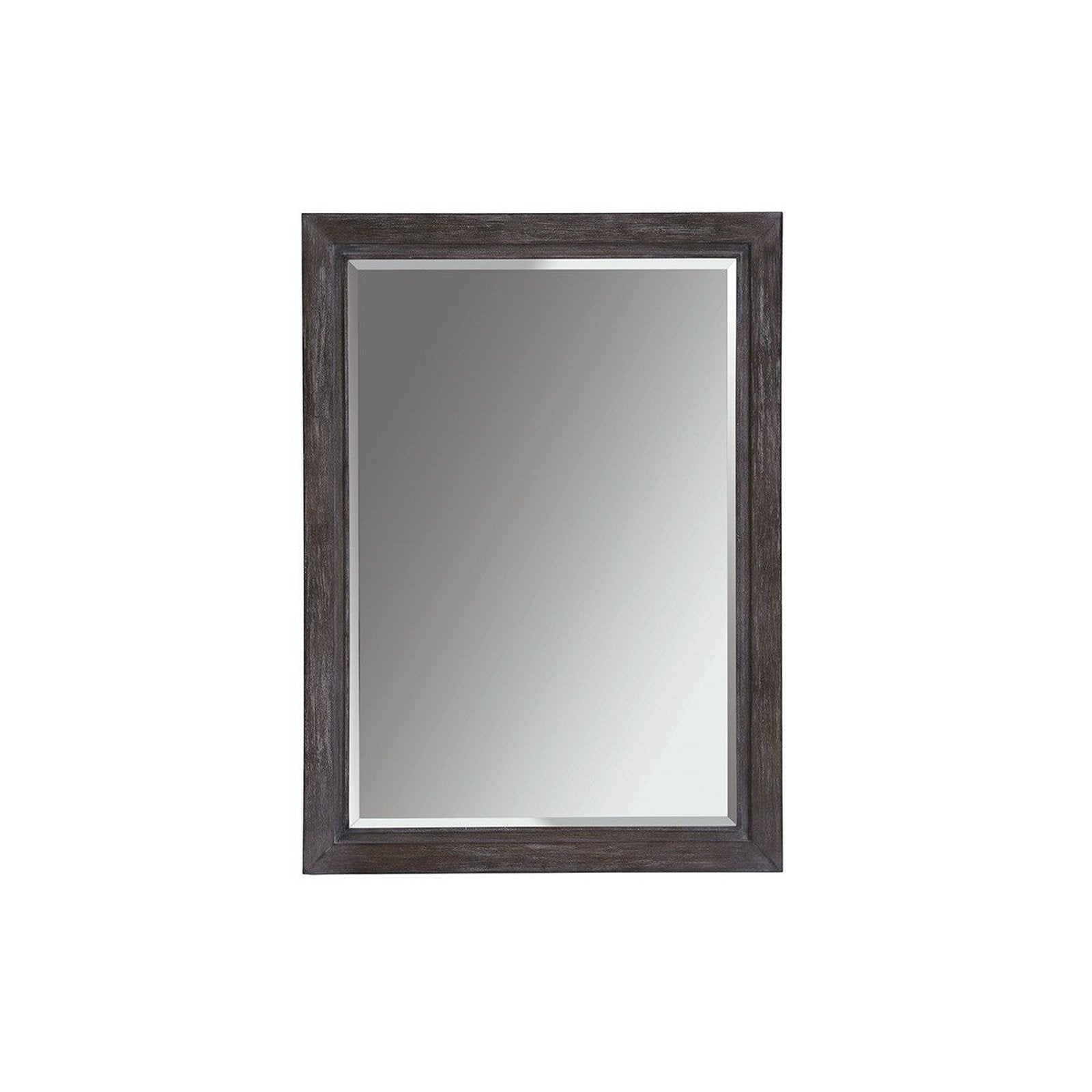 Lexington Santana Solana Rectangular Mirror DSC