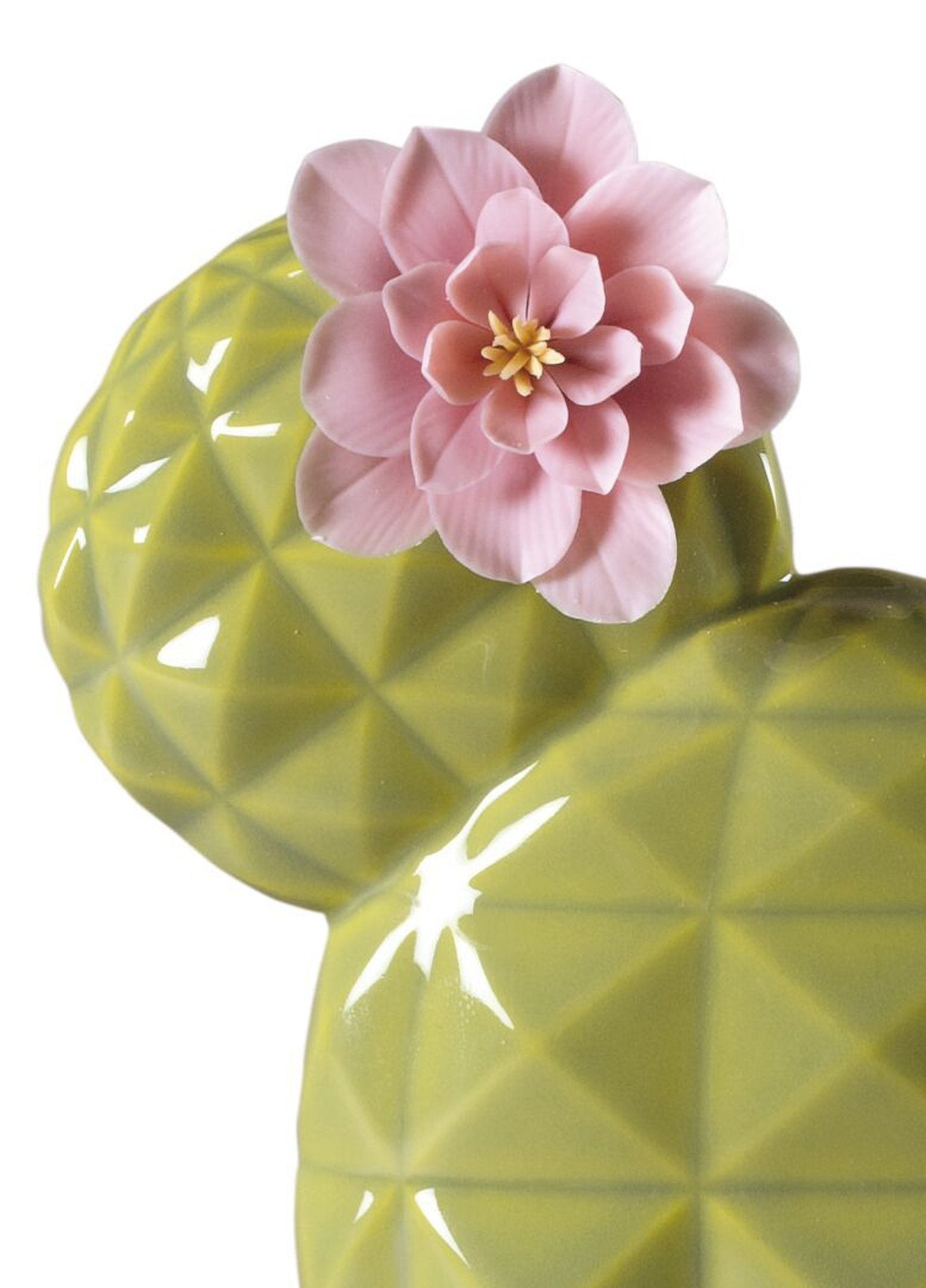 Lladro Opuntia Cactus Diffuser