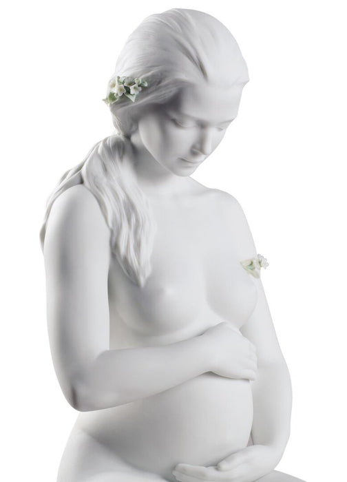 Lladro A New Life Mother Figurine