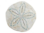 Tommy Bahama Home Ocean Breeze Sand Dollar End Table