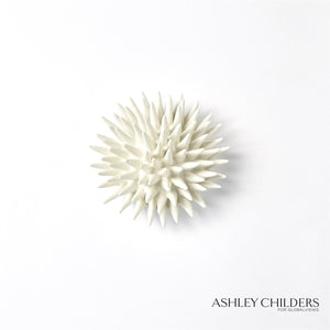 Global Views Urchin Wall Art by Ashley Childers Clearance