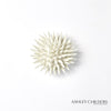 Global Views Urchin Wall Art by Ashley Childers