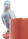 Lladro Parrot Parade Vase