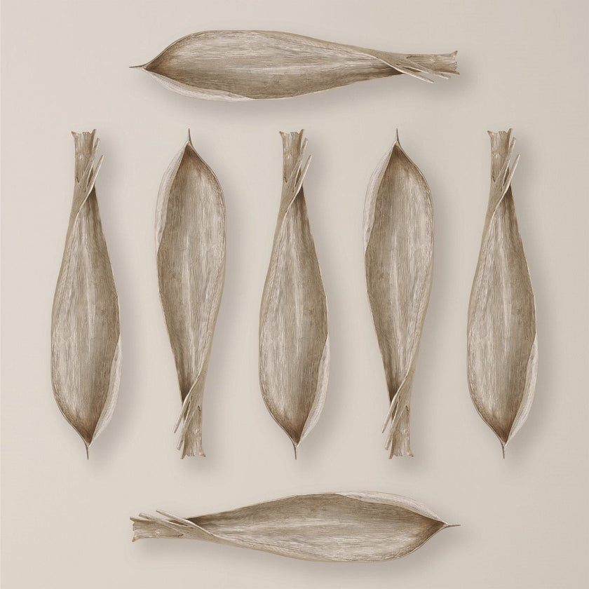 Global Views Palm Seed Pod Nickel