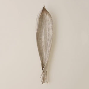 Global Views Palm Seed Pod Nickel