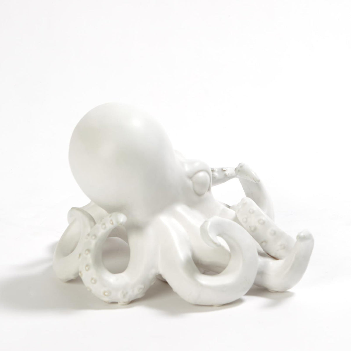Global Views Octopus