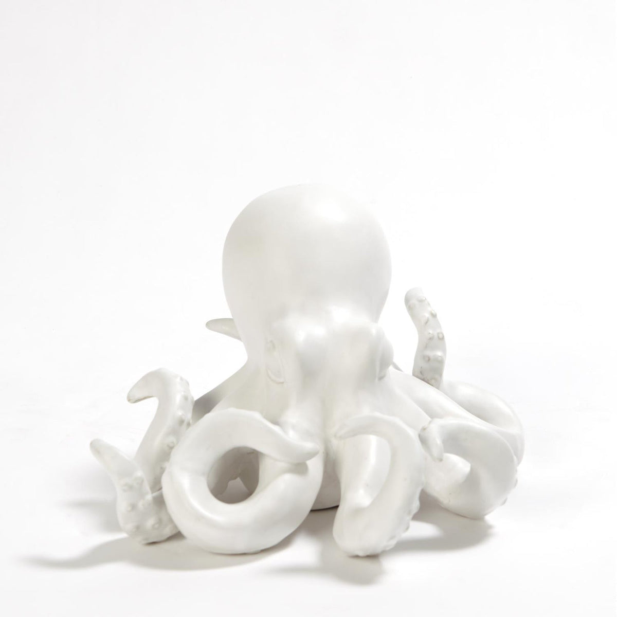 Global Views Octopus