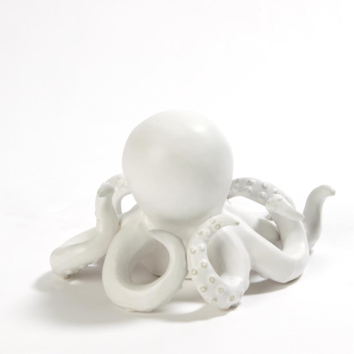 Global Views Octopus