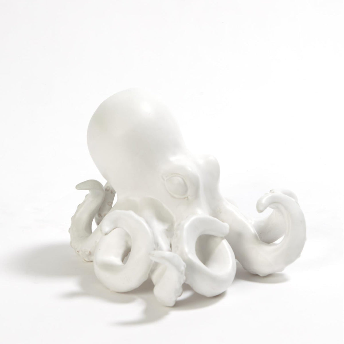 Global Views Octopus