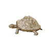 Maitland Smith Rocky Turtle Accessory