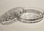 Maitland Smith Clear Crystal Candy Dish Clearance