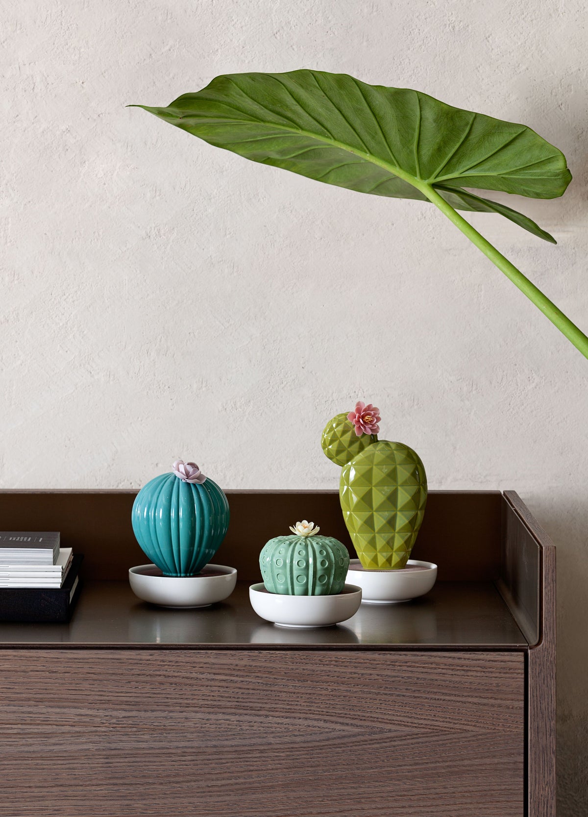 Lladro Astrophytum Cactus Diffuser