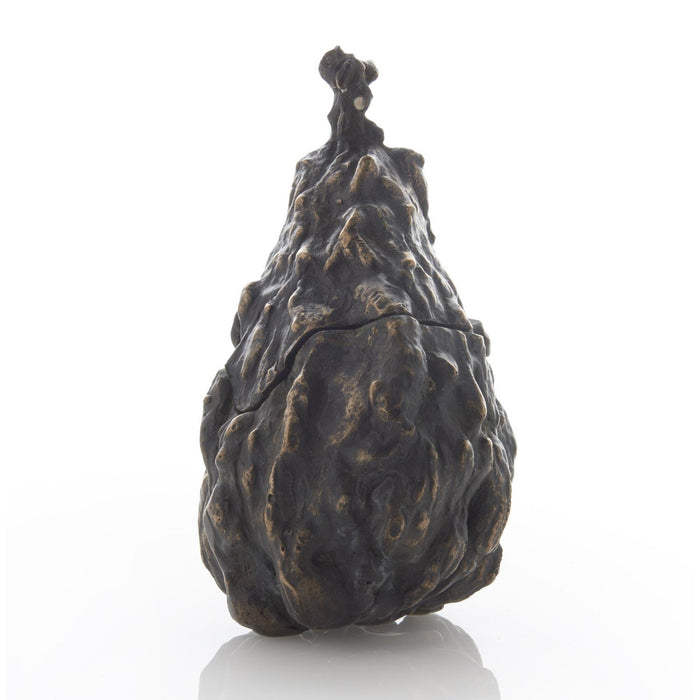 Global Views Warted Pear-Bronze