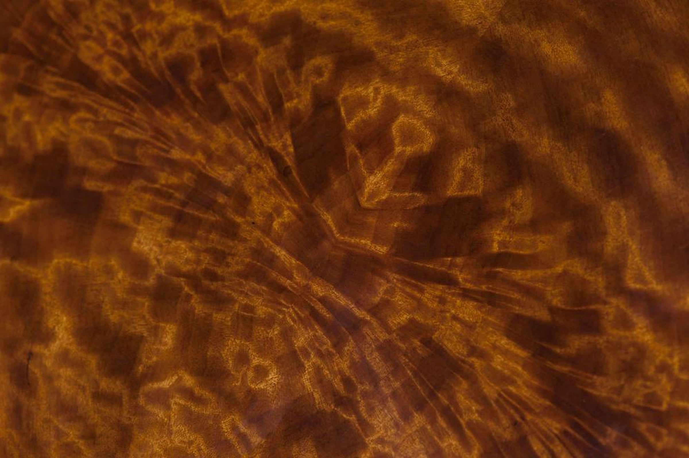 Theodore Alexander Althorp Living History The Althorp Secretary Bookcase / Cabinet