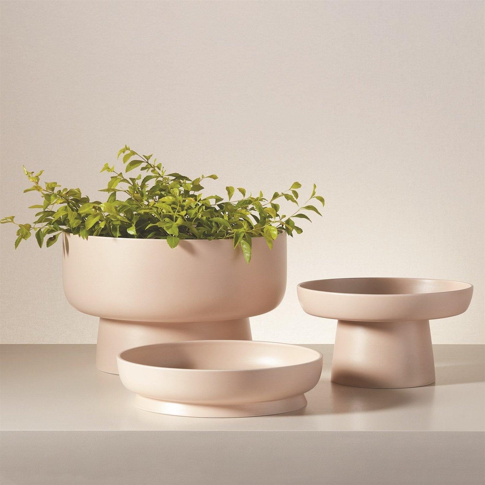 Global Views Encircle