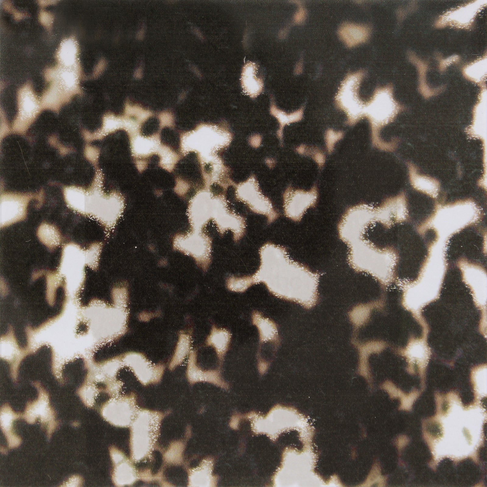 Caracole Classic Dream Big Bed