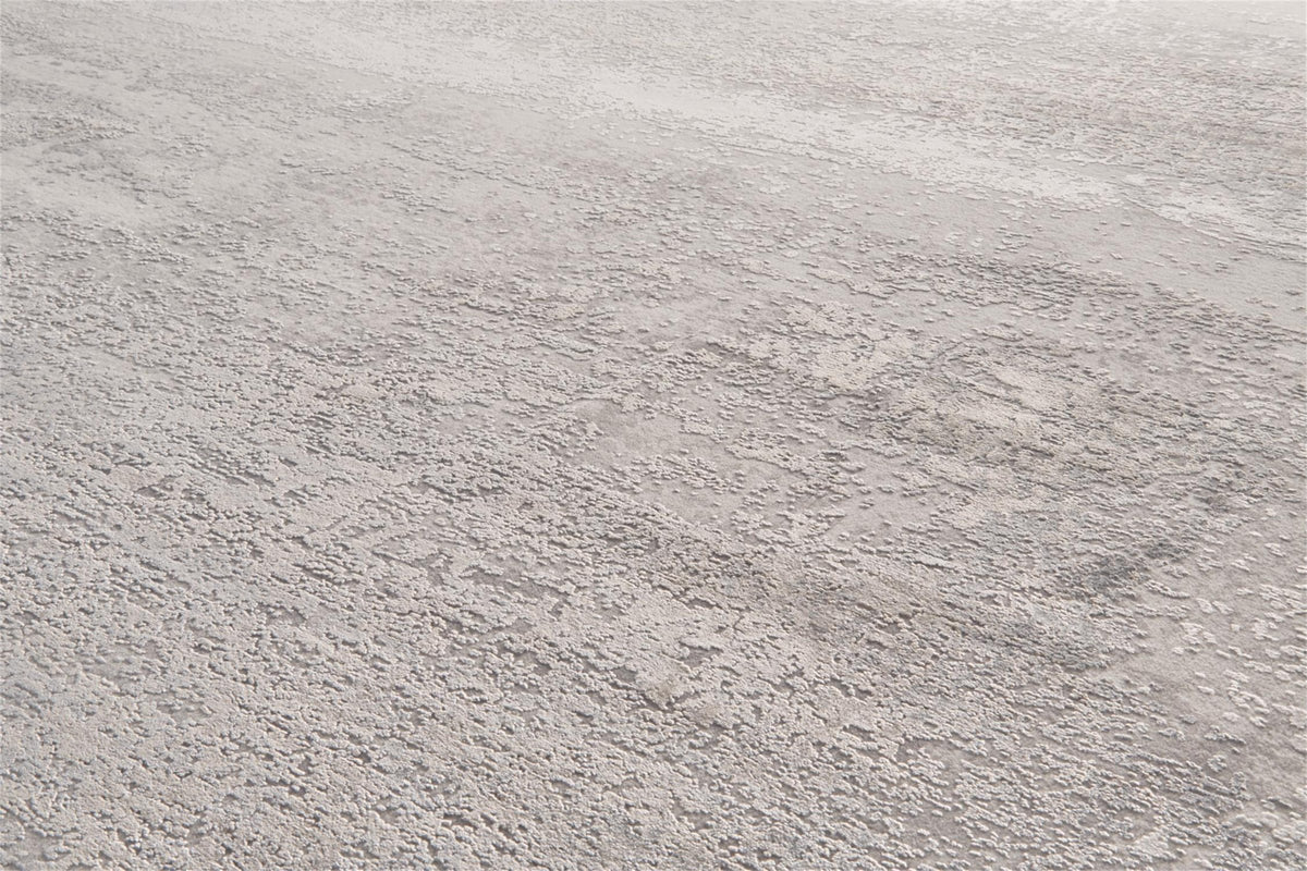 Feizy Cadiz 3888F Rug in Light Gray