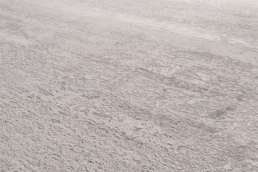 Feizy Cadiz 3888F Rug in Light Gray