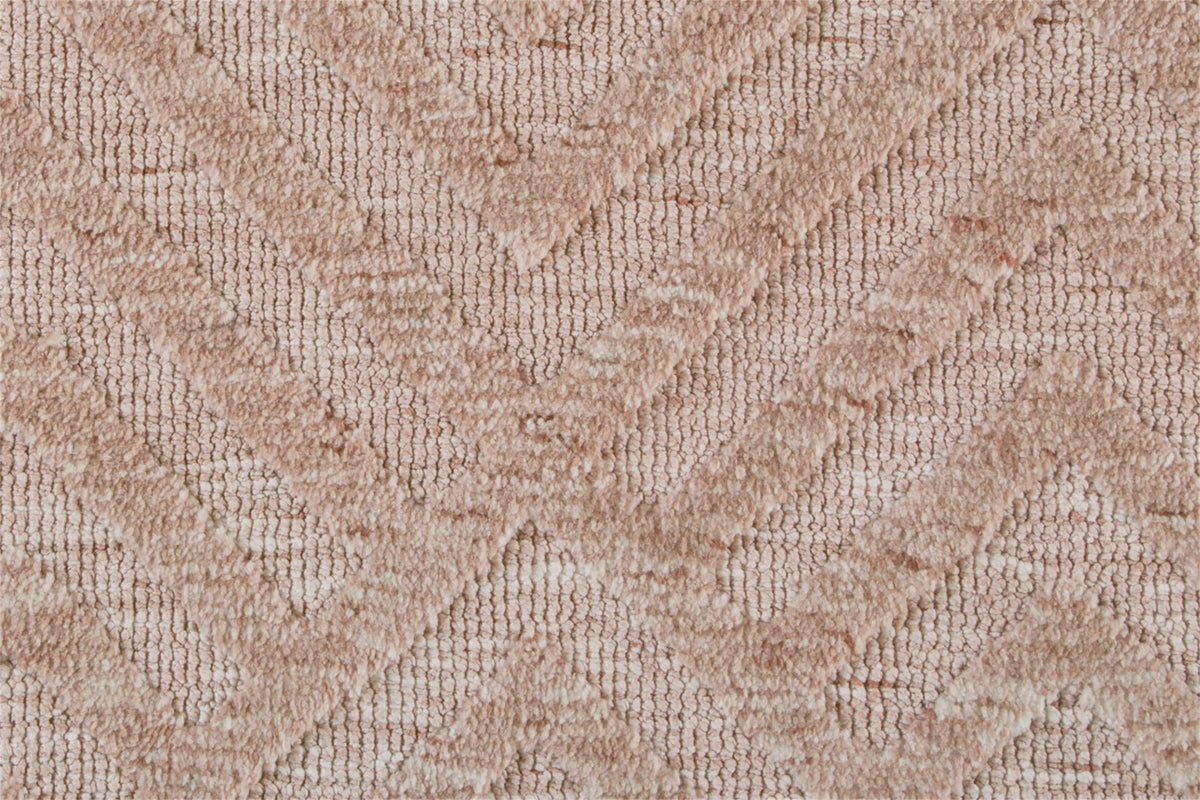 Feizy Colton 8792F Rug in Blush