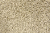 Feizy Indochine 4550F Rug