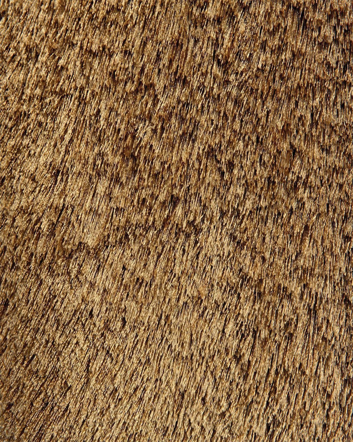 Feizy Indochine 4550F Rug