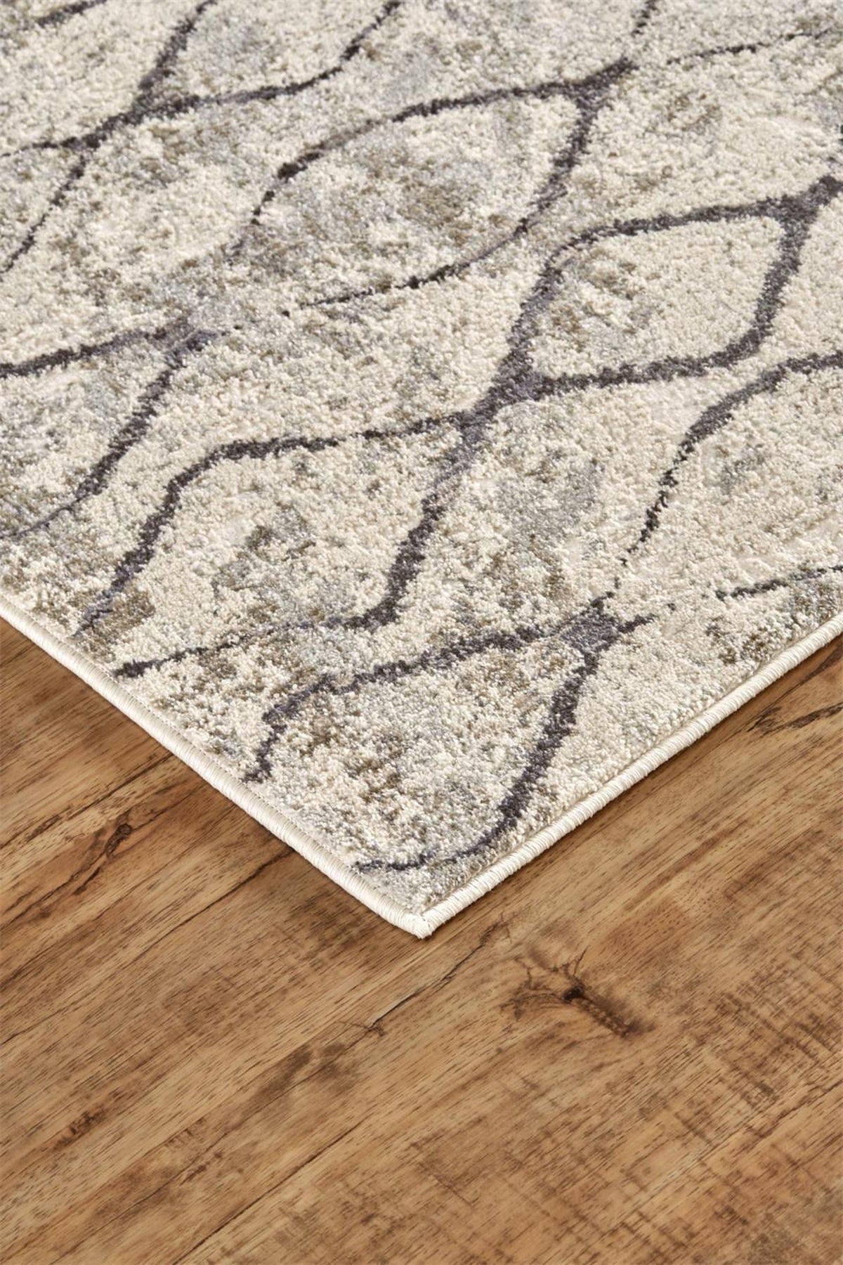 Feizy Kano 3872F Rug in Sand/Charcoal
