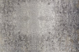 Feizy Sarrant 3964F Rug in Stone