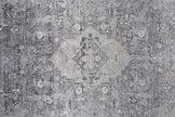 Feizy Sarrant 3966F Rug in Gray