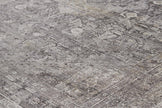 Feizy Sarrant 3966F Rug in Gray