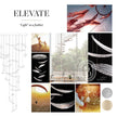Fine Art Elevate 32
