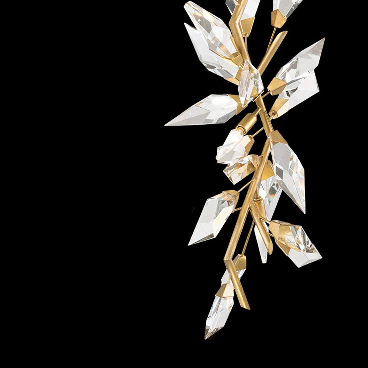 Fine Art Foret 19
