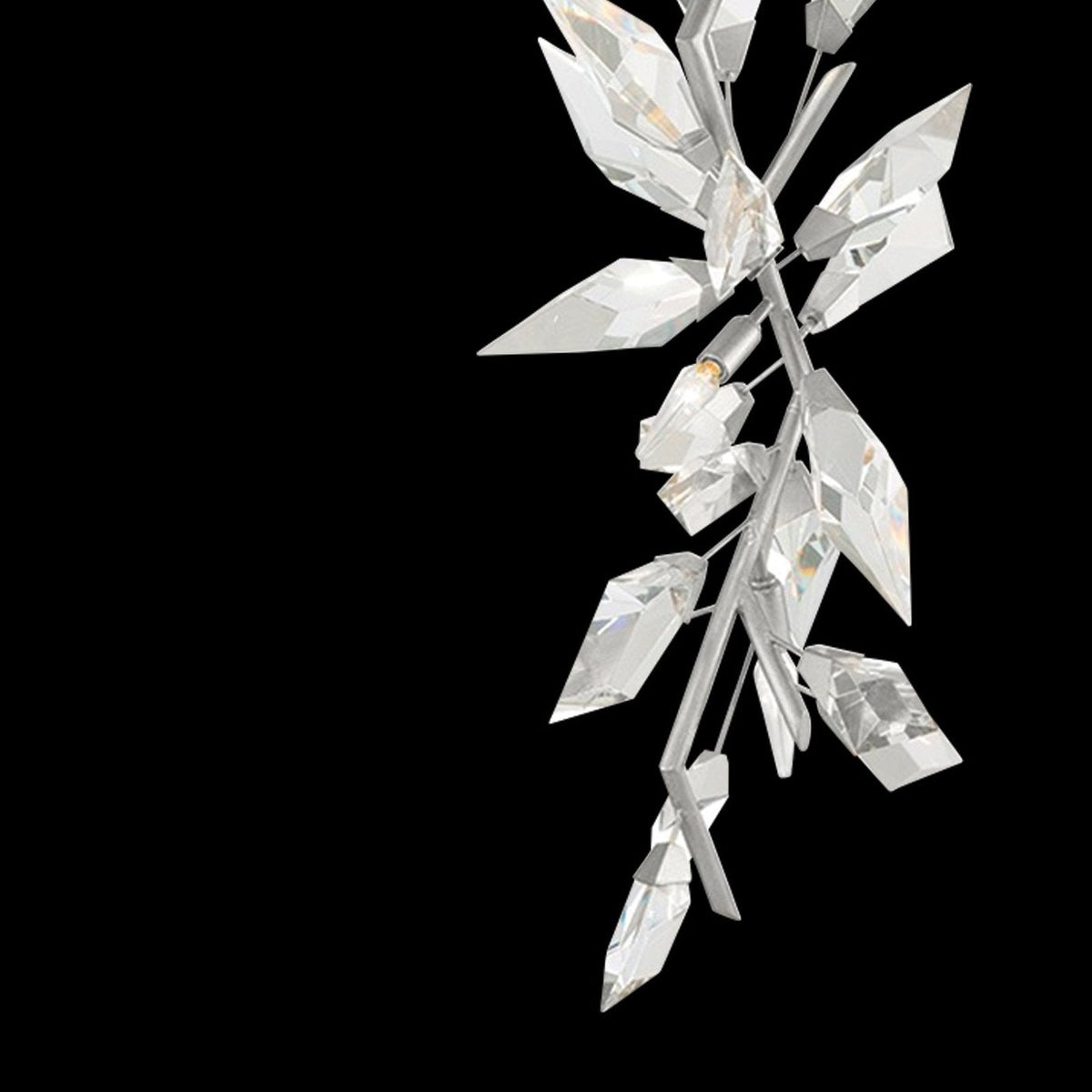 Fine Art Foret 19