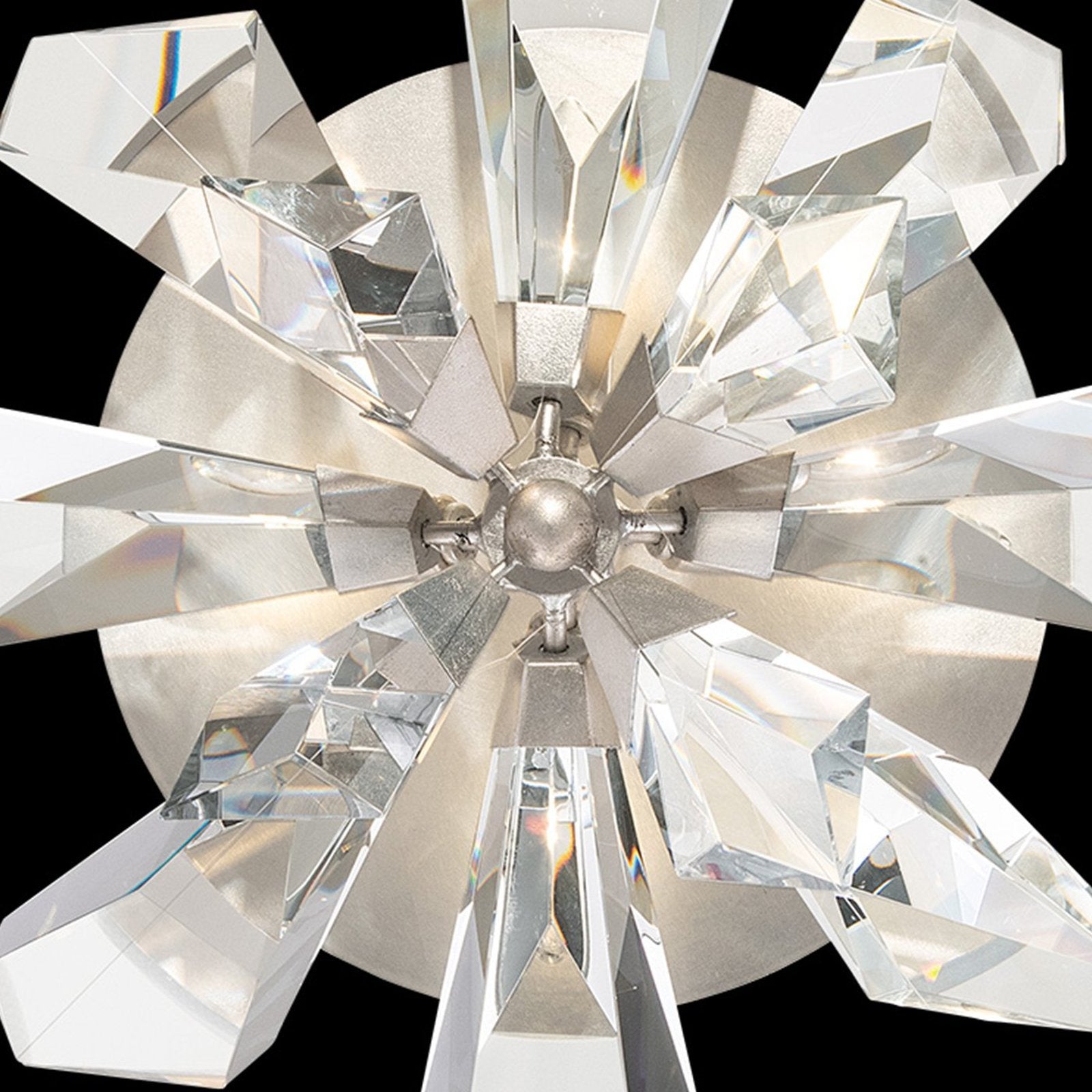 Fine Art Foret 24.25