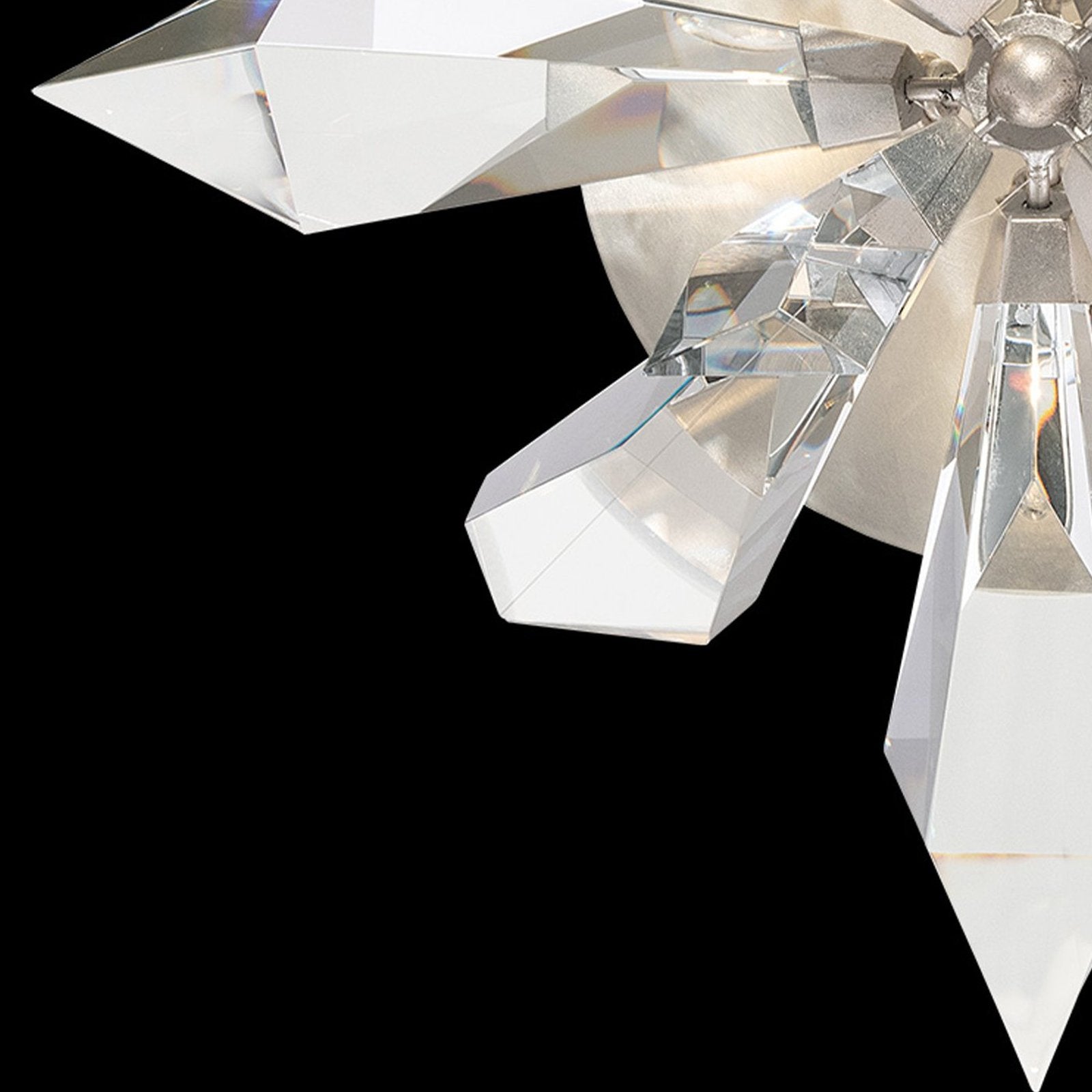 Fine Art Foret 24.25