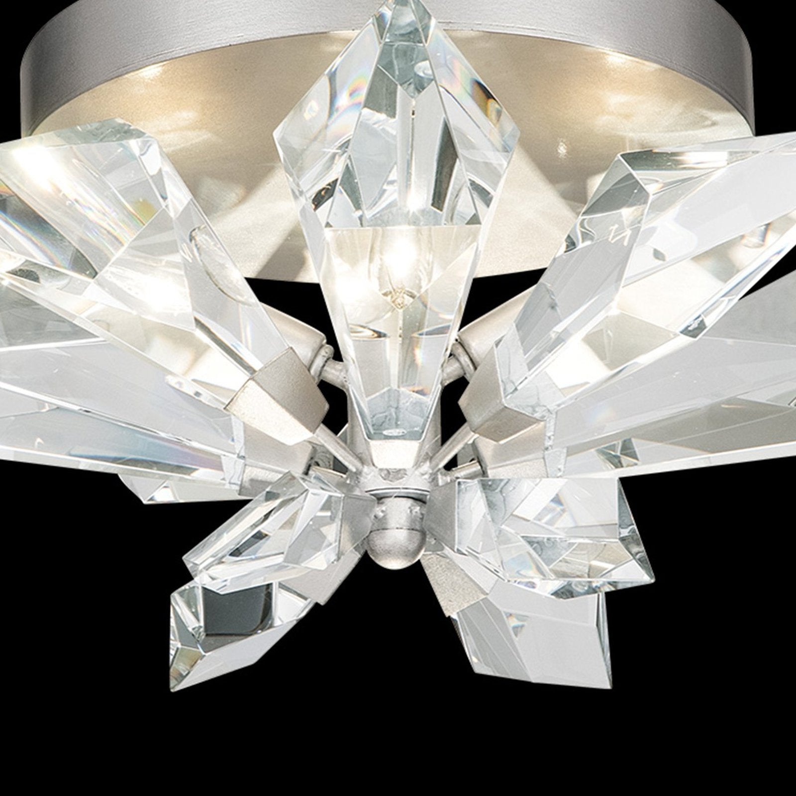 Fine Art Foret 24.25