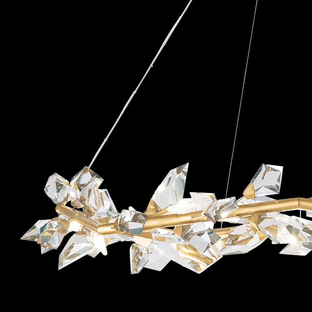 Fine Art Foret 55