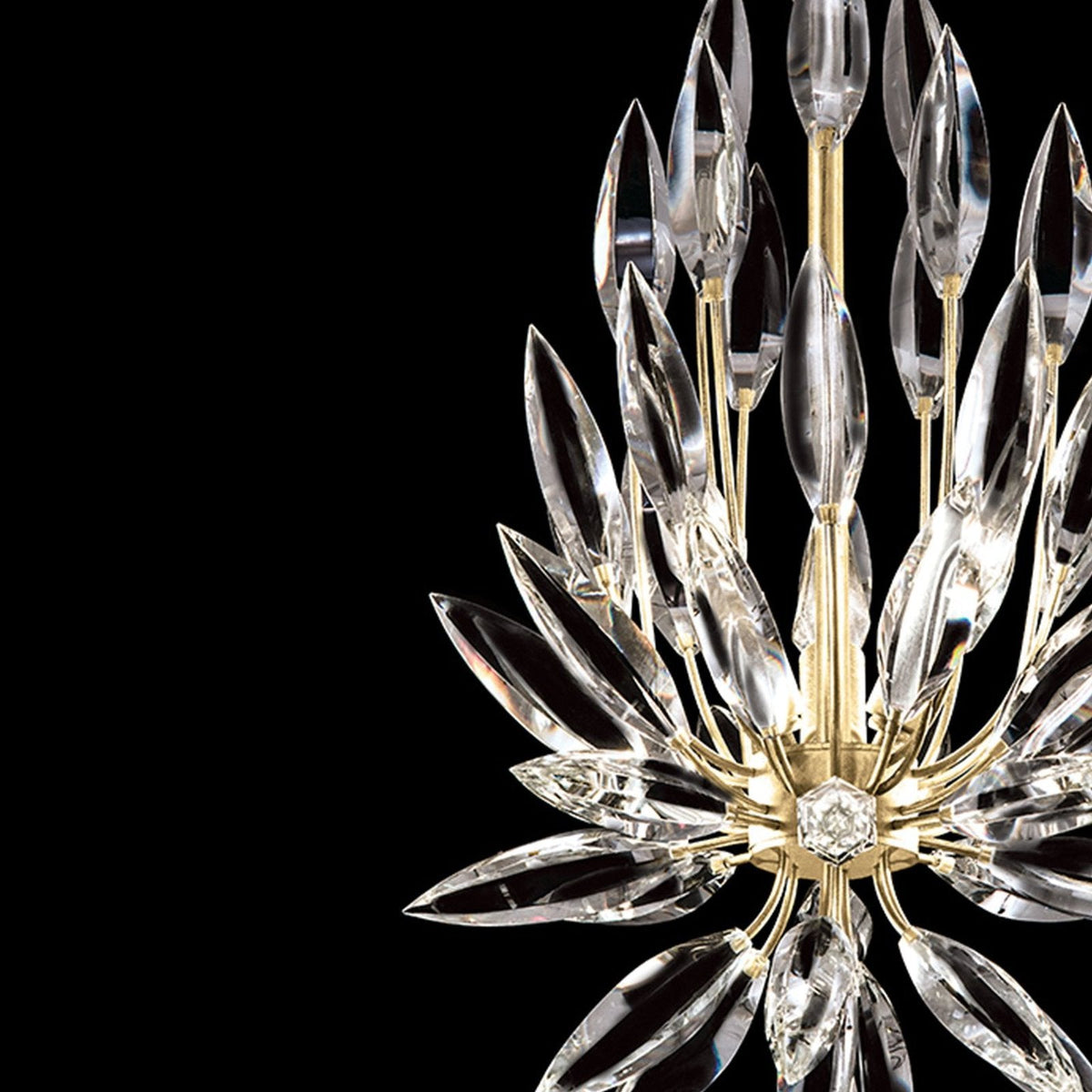 Fine Art Lily Buds 12