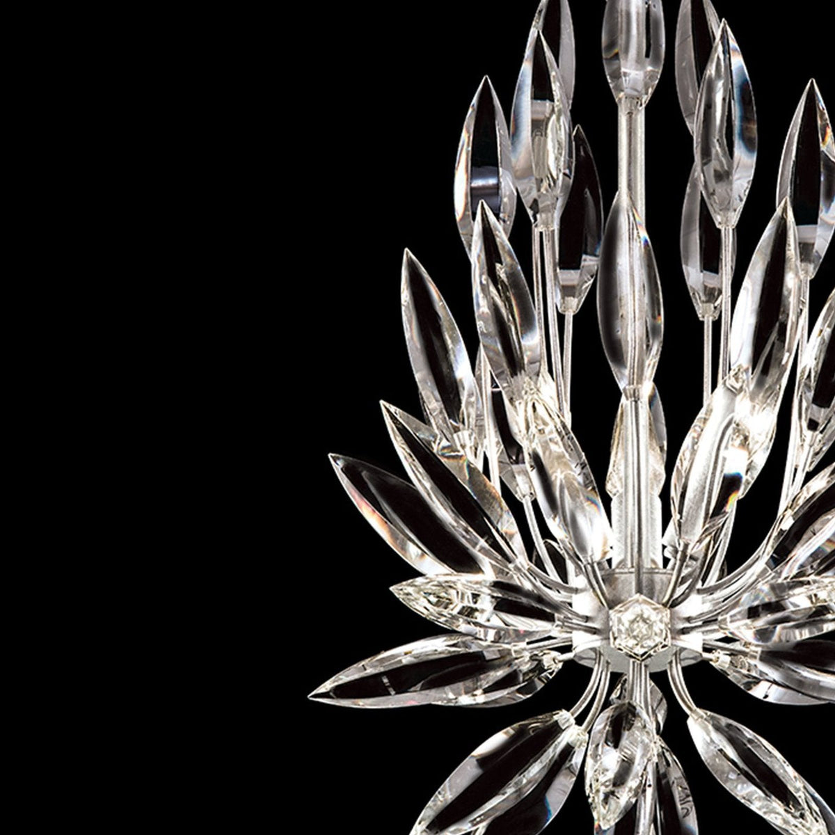 Fine Art Lily Buds 12
